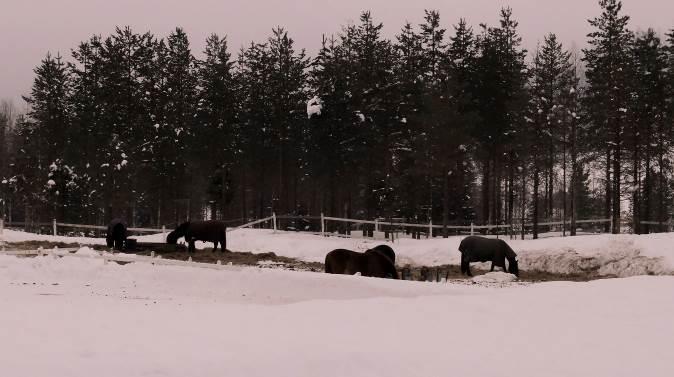 Rakentaminen on keskitetty suppealle alueelle, jolloin kunnallistekniikka saadaan järkevästi hoidettua ja muodostettua toimiva matkailu- ja asuinkeskus.