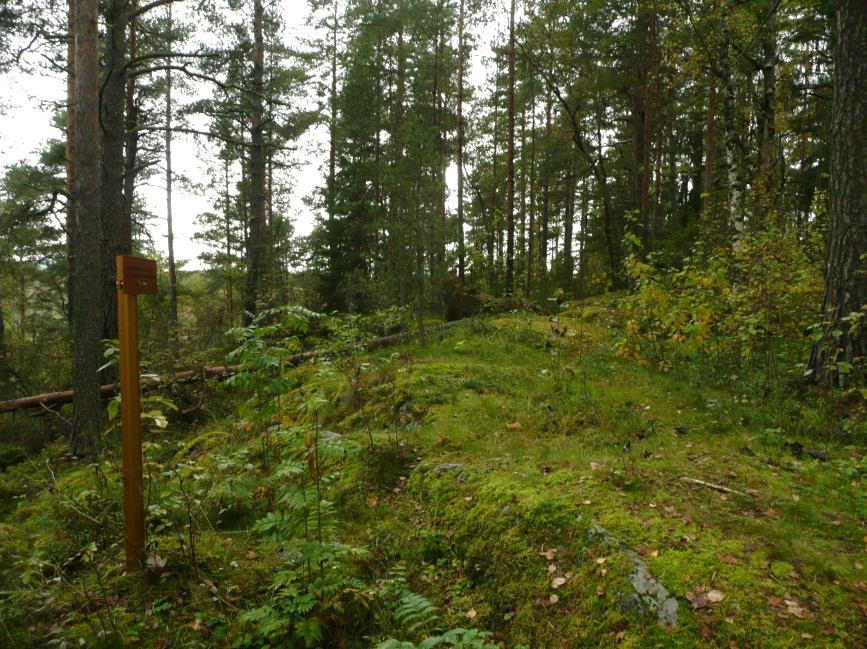 1 JÄMSÄ Hiidenmäen alueen