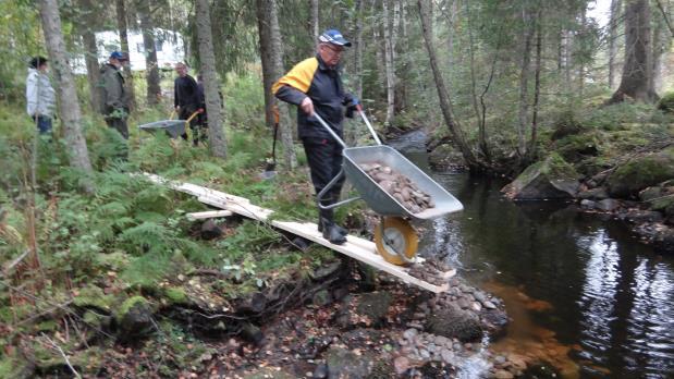 kunnostustoimet vaikuttavat vedenpinnan korkeuteen.