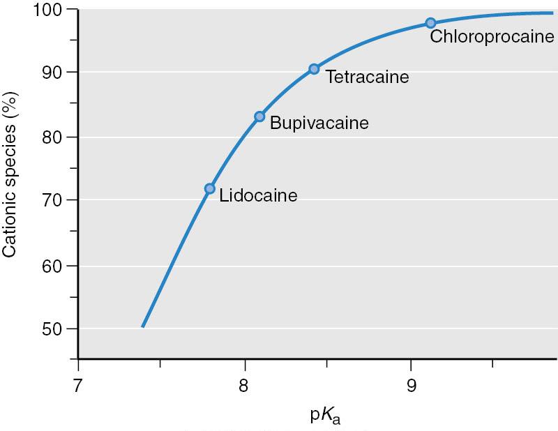 Ionisoituneena, kun ph = 7.4 Puudutteiden kemiallisia ominaisuuksia Puudute pka Jakautumisvakio (n-oktanoli/ph 7.4) Sitoutunut prot. (%) Prilokaiini 7.9 25 55 Lidokaiini 7.9 24 64 Mepivakaiini 7.
