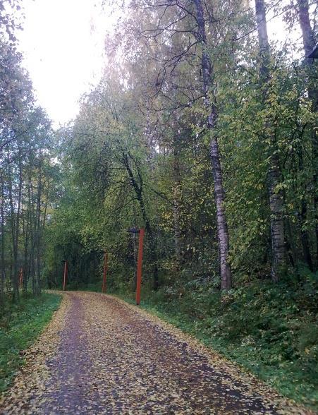 SOTE2020 hankkeen alatyöryhmien tuloksien arviointia Asta Suomi,