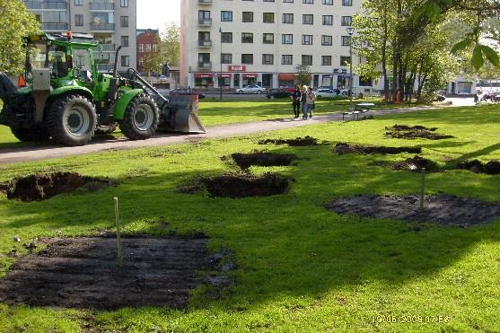 18 Yhteenveto - Istutuskuopparymät I-III Kuopat 1-16 Puiston Koulukadun sivustan istutuskuopille oli yhteistä stratigrafian yksinkertaisuus ja kulttuurikerrosten vähyys.