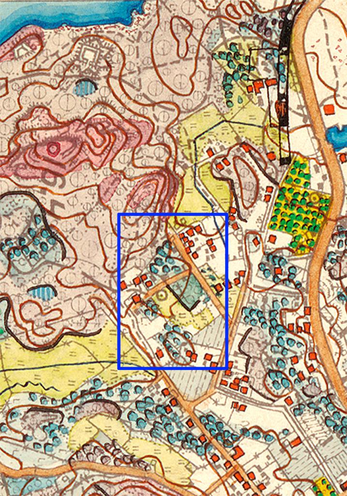 8 Kuva 3: Nykyisen Toivo Pekkasen puiston ja sen lähialueelle (sininen kehys) on vuoden 1886 karttaan merkitty pääasiallisesti niittyä, pensakoitunutta niittyä sekä puita.