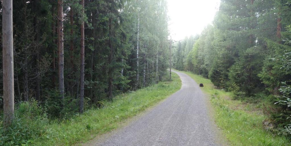 Väylä 3 Lähes suora reitti Ulkoilureittiä pitkin heitettävä loivasti vasemmalle kaartava väylä.