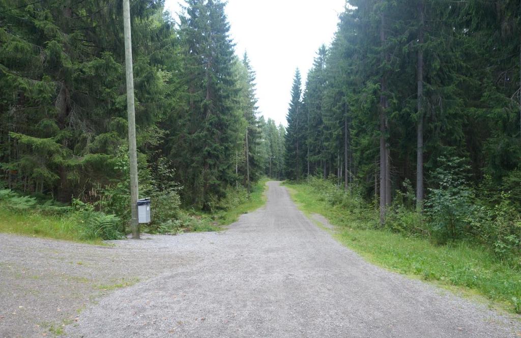 Väylän sivuilla oleva metsä on melko tiheää, joten kannattaa pysyä väylällä.