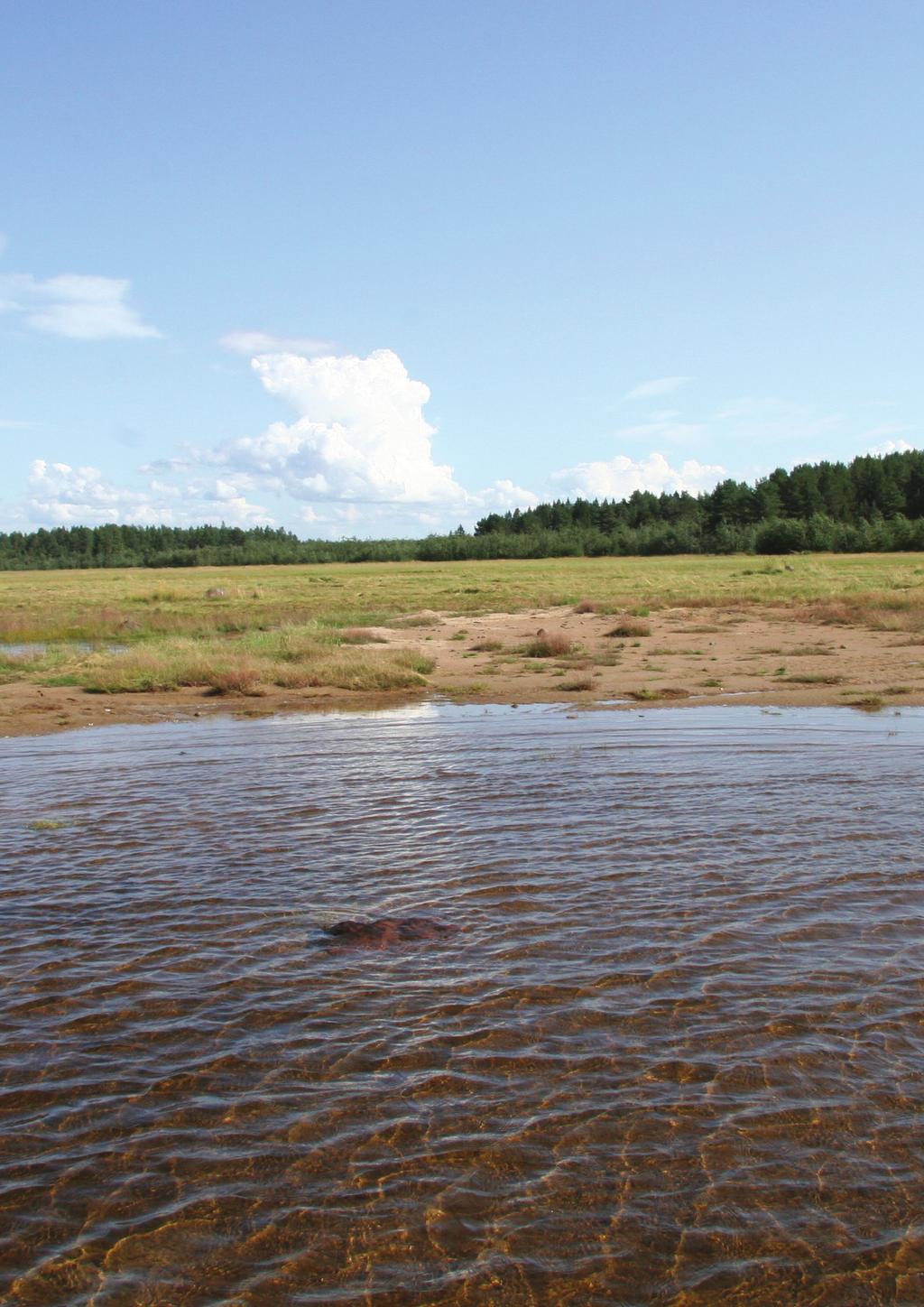 NATURA-ARVIOINTI YMPÄRISTÖVAIKUTUSTEN