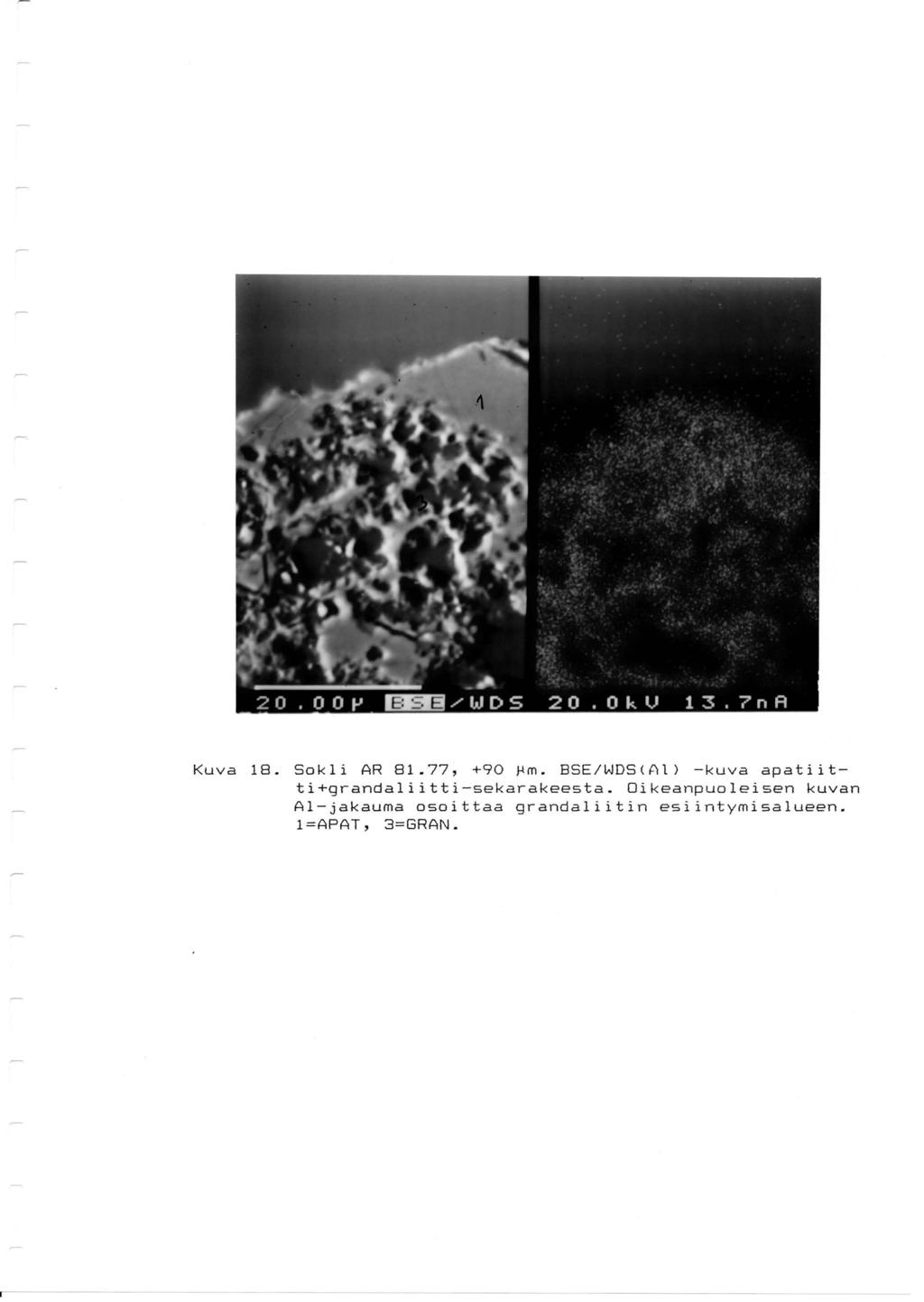 Kuva 18. Sokli AR 81.77, +90 ~m. BSE/WDS(Al) -kuva apatiitti+grandaliitti-sekarakeesta.