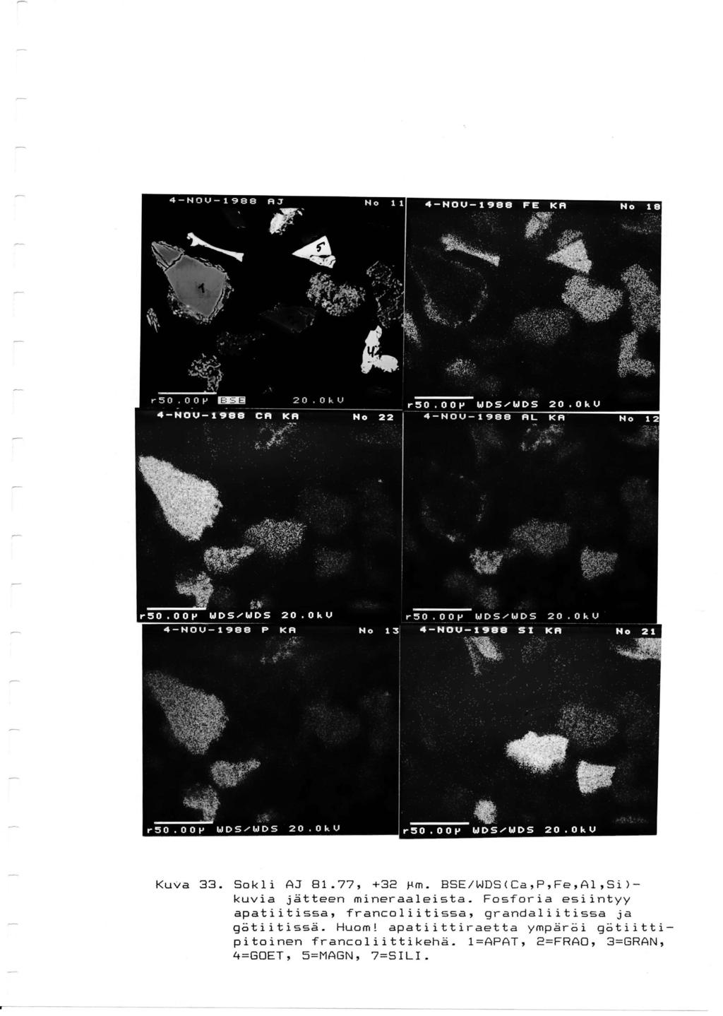 Kuva 33. Sokli AJ 81.77, +32 ~m. BSE/WDS(Ca,P,Fe,Al,Si) kuvia jätteen mineraaleista.