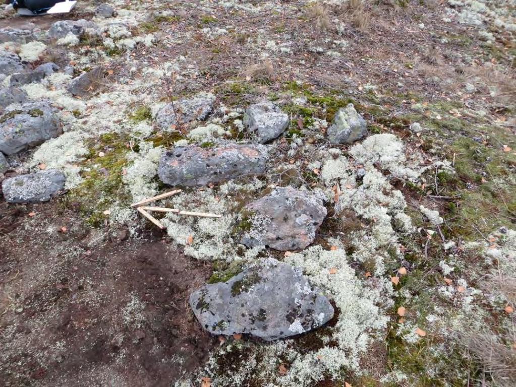 Ne näyttivät sijaitsevan suoraan kalliolla. DT2013:38:8. Latomus c ennen tutkimuksia. Etelästä. Jouko Pukkila.