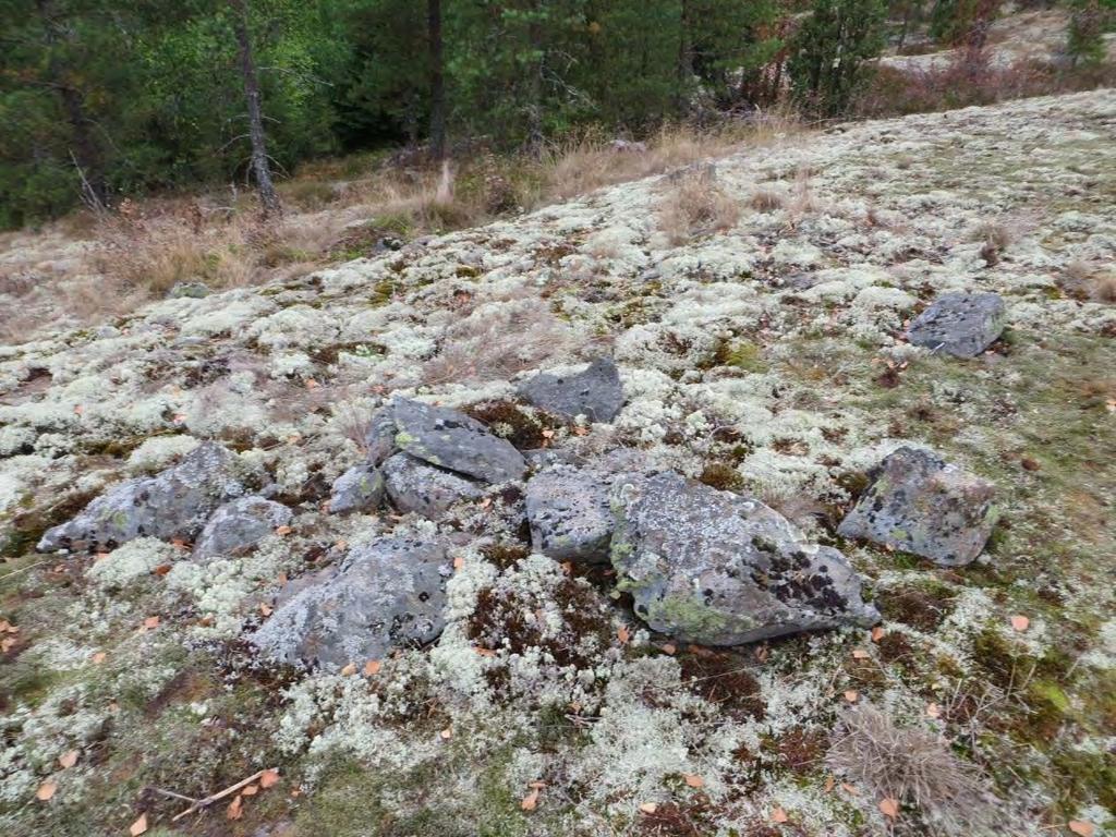 15 Latomus e oli latomuksesta d 70 cm etelään oleva 2 (s-n) x 1,3 m kokoinen, pohjakaavaltaan vinoneliön muotoinen ja 10-15 cm korkea.