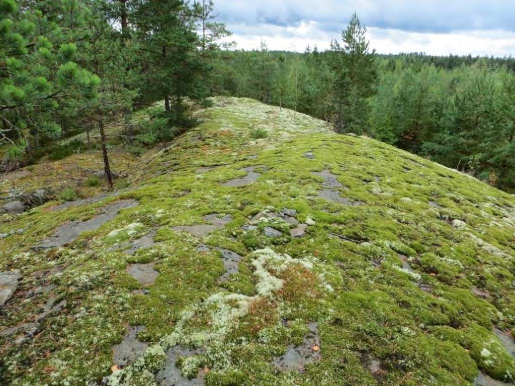 28 Lähiympäristön inventointi Esa Laukkanen mainitsi inventointikertomuksessaan 2006 saaneensa tiedon kolmannesta samanlaisesta, joskin tuhoutuneesta röykkiöstä edellisten itäpuoleiselta (itse