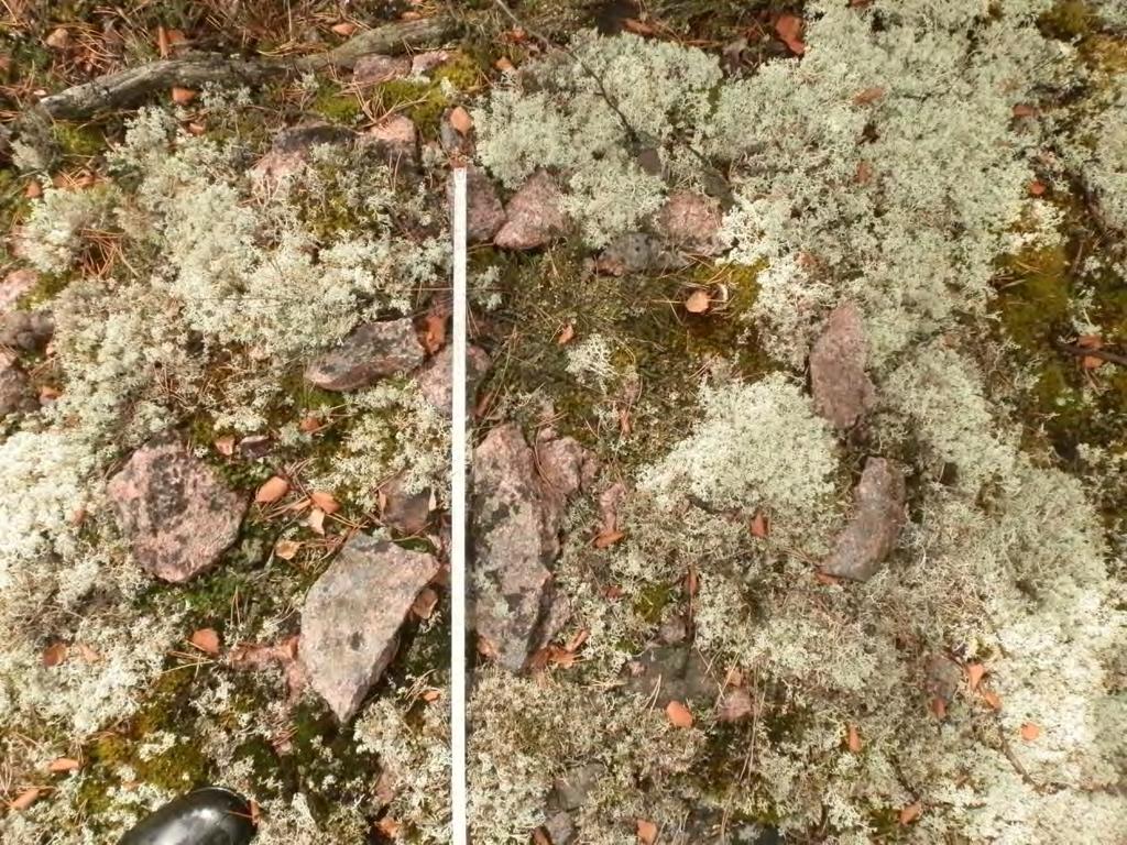 Tämän osoittaa se, että valtaosa kivistä on valikoituja, pienehköjä, noin 20 cm kokoisia punagraniittisia lohkokiviä.