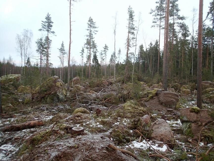 1 Lapinjärvi-Loviisa Uuden 110