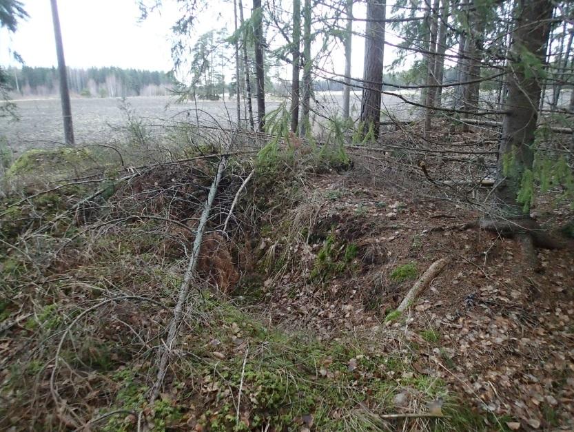 5 jan alue on kaukana pronssikauden rannoista, joten esihistoriallisia röykkiöitä alueella ei voi olla.