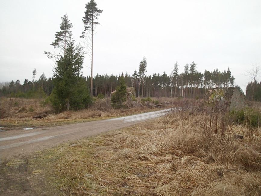 9 Kuvattu linjan suuntaan luoteeseen