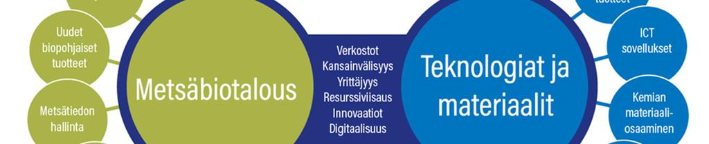 Kansainvälisessä tarkastelussa älykäs erikoistuminen, eli alueiden strateginen kehittäminen ja uudistaminen erityisten alueellisten vahvuuksien ympärille, on yksi keino jolla Eurooppa ja sen