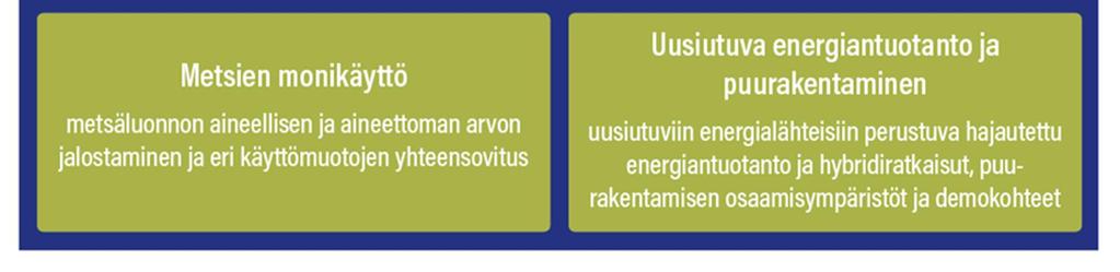 Metsäbiotaloudessa on vahvat yhteistyön perinteet ja kulttuuri. Osaajat ovat lisäksi verkottuneet hyvin kansallisesti ja kansainvälisesti.