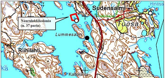 Liite 2. Lepakko- ja pesimälinnustoselvitys 5 Kuva 6.