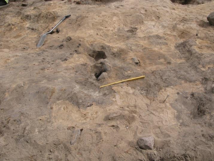 Kaivantoon L59 rajautuneen Y62:n alta tuli esille läikikkään hiekan kerros Y65. Kerroksen paksuus vaiheteli 2 ja 30 cm välillä.