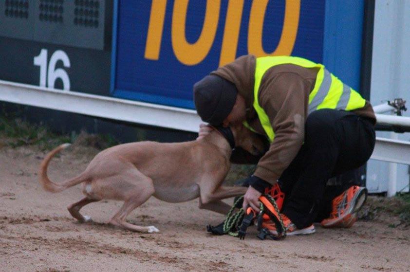 Rescuetarhalla arvioitiin hampaiden perusteella, että Kaitsu olisi ollut adoptiohetkellä, noin pari vuotta sitten, suunnilleen 2-vuotias.