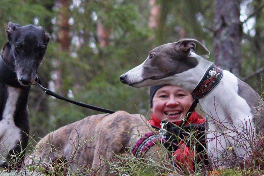 Jännätystä pennutuksen suhteen aiheutti oikeastaan vain se, miten greyn synnytys eroaisi, vai eroasiko mitenkään aikaisemmista kokemistani. No, ei eronnut, Päivi vertaa.