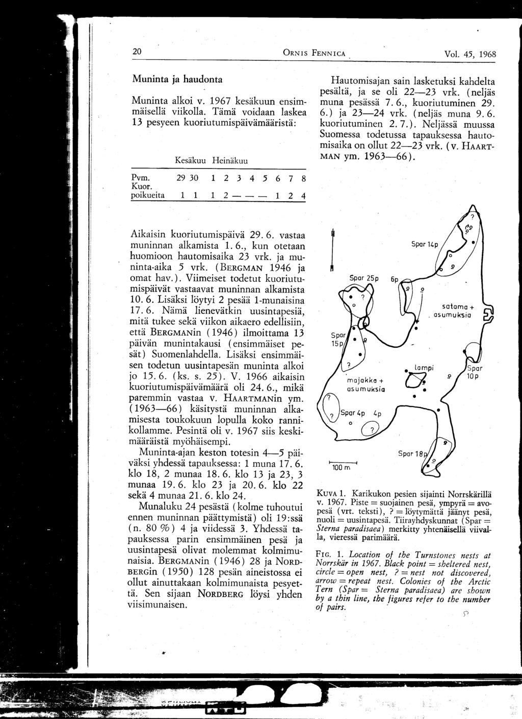 20 ORNIS FENNICA Vol. 45, 1968 Muninta ja haudonta Muninta alkoi v. 1967 kesäkuun ensimmäisellä viikolla.