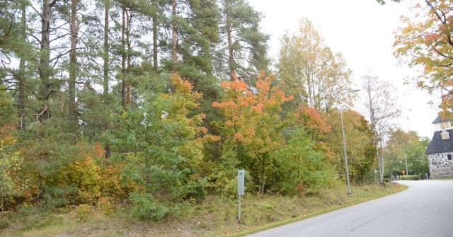 Maastossa on kaivuun jälkiä, ja sieltä on ilmeisesti otettu hiekkaa vuosikymmeniä sitten. Maskuntien ja Tapulitien varressa kasvaa monilajista puustoa, jossa kasvaa mm.