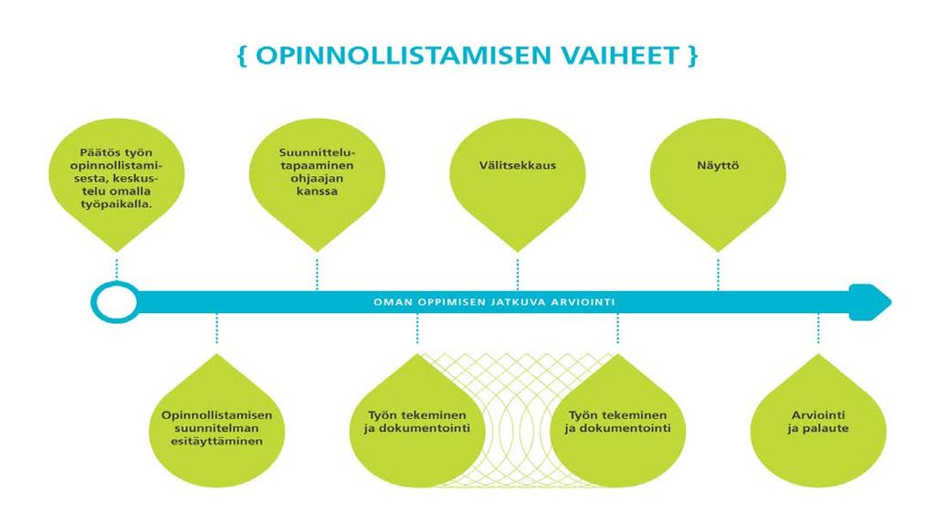 11. Opiskelijalähtöisen työn opinnollistamisen malli Haaga-Helia Työn opinnollistamisen sopimuksia (suunnitelmia) on laadittu liiketalouden koulutuksessa yhteensä noin 100 kpl: Keskimääräinen