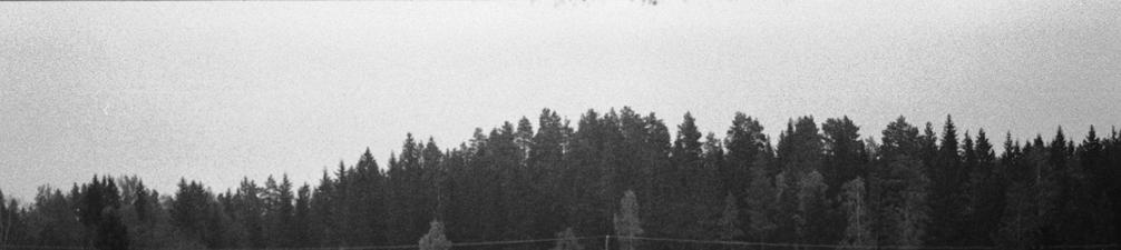 LEMPÄÄLÄ TOPPI