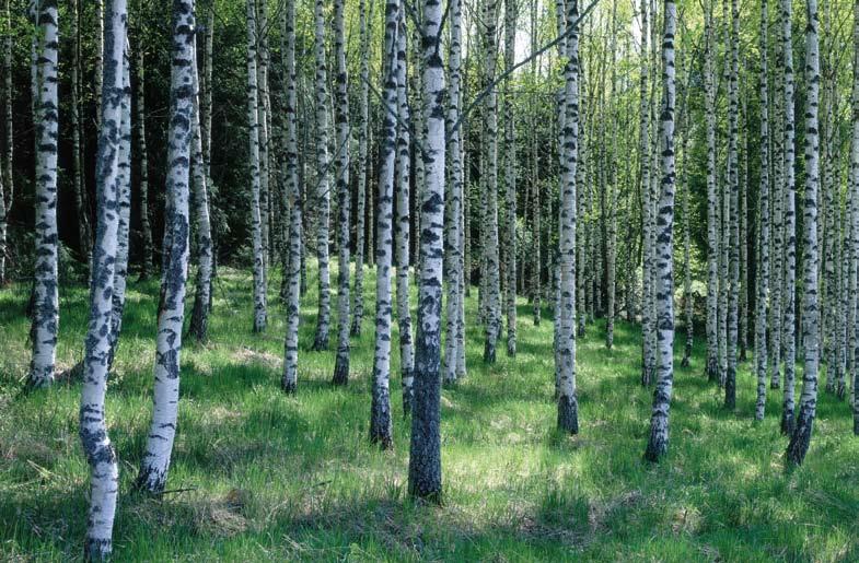 TarkasTusTa TEkEvÄT ihmiset Tarkastusvirastossa työskentelee noin 150 henkilöä.