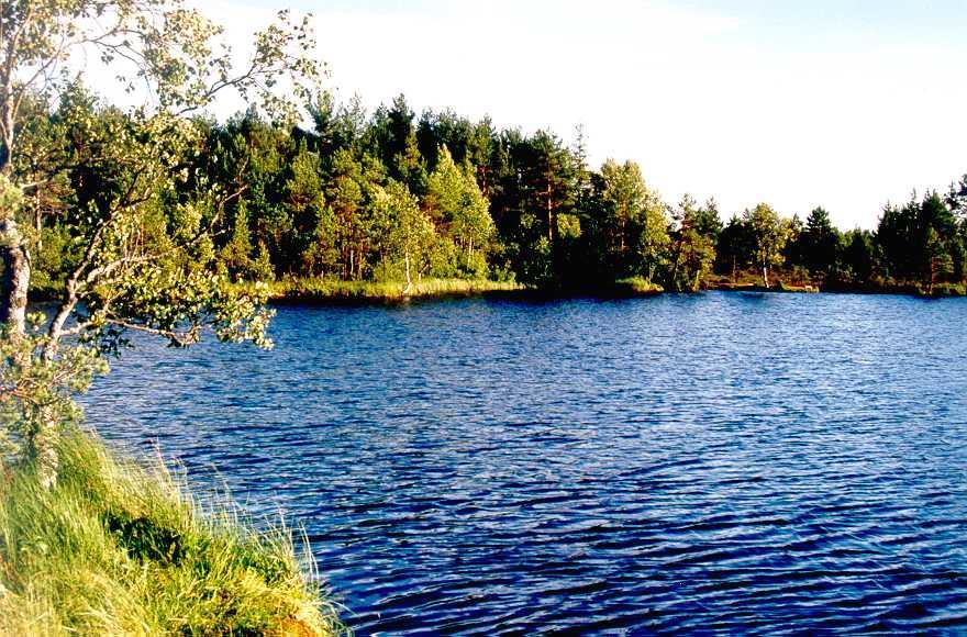 Sõbessoo järv