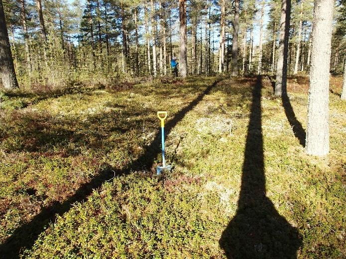 Matalaan painanteeseen tehdystä koekuopasta havaittiin noin 20 cm paksu noen, hiilimurskan ja vaalean hiekan sekainen kerros.