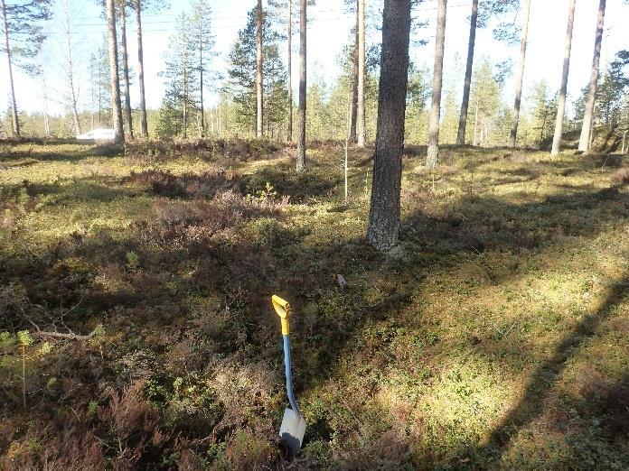 11 Näistä läntisimmän (N 7021392,5 E 297878,5) halkaisija on pohjalta noin 1 m ja maan tasalta noin 3 m, syvyyttä kuopalla on noin 1,1 m.
