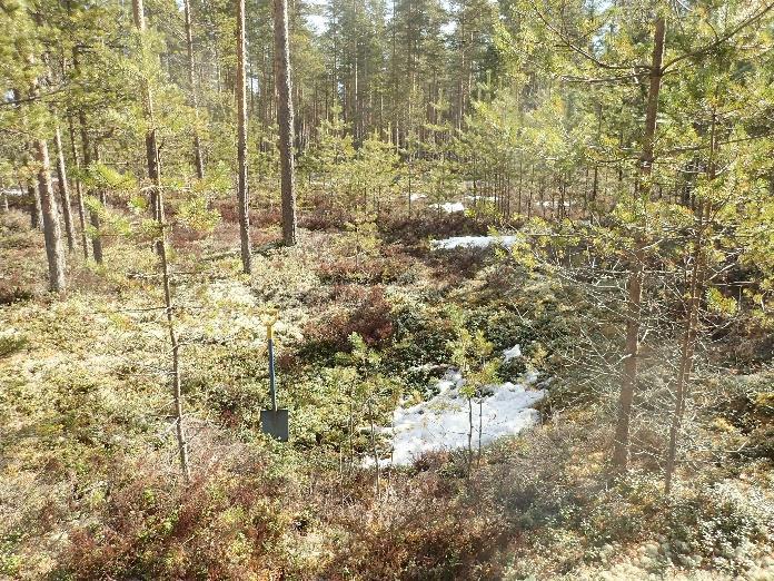 Itäisin kolmesta kuopasta (N 7021396,5 E 297895,5) on muodoltaan soikeahko. Pohjalta tämän kuopan halkaisija on noin 1 x 1,3 m ja maanpinnan tasalta noin 1,4 x 2 m, syvyyttä kuopalla on noin 70 cm.