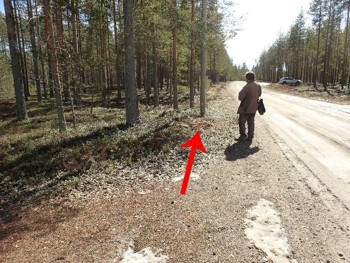 alkavat välittömästi tien reunasta.