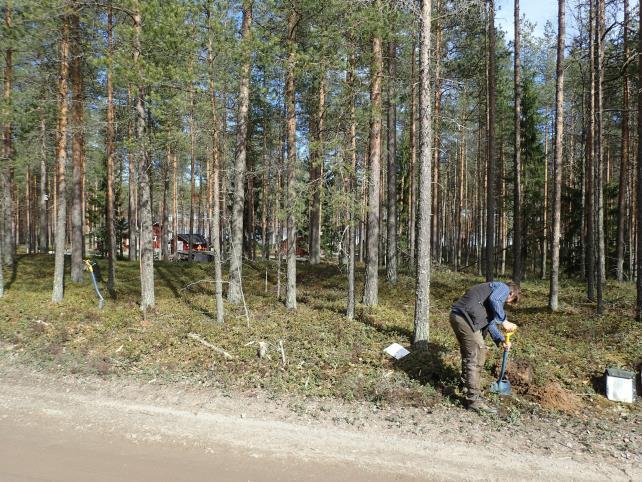 Alueella aiemmin tehtyjen tutkimusten mukaan sekä nyt tehtyjen koetutkimusten perusteella ei ole varmuutta siitä, onko kiinteää muinaisjäännöstä olemassa tai säilyneenä Haaruskankaantien ja