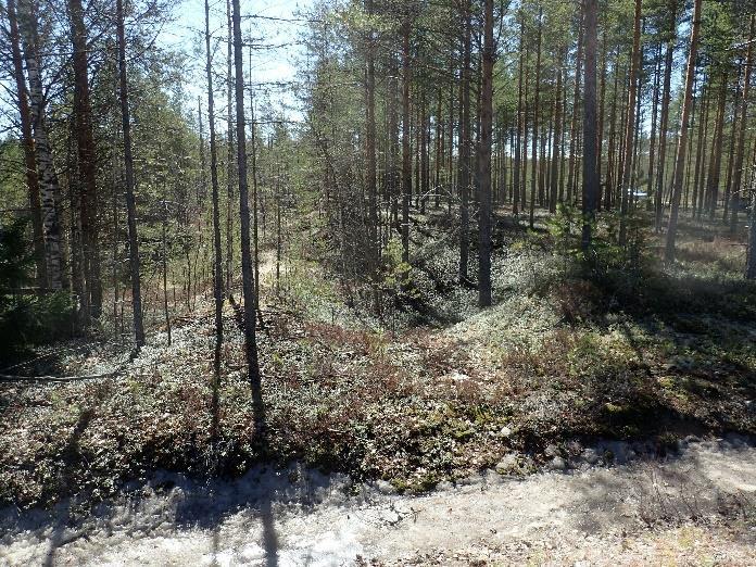 Huuhtouman oikealla puolella on asteittain vaaleneva rikastumiskerros, jota voisi värinsä ja rasvaisuutensa puolesta