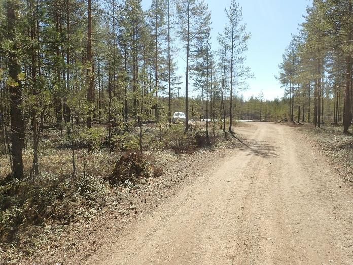 Alaoikea: Haaruskangas B:n koillisnurkka on kuvan oikeassa laidassa näkyvä mäntymetsä.
