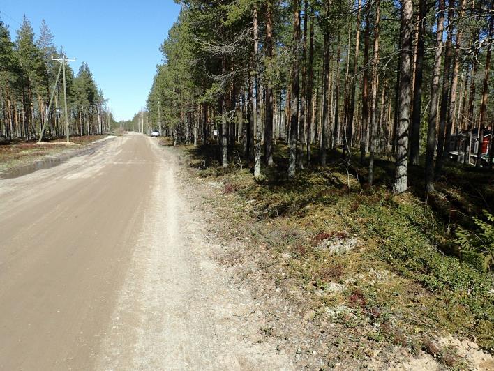 Länteen. Haaruskangas A:n koillisosaa.