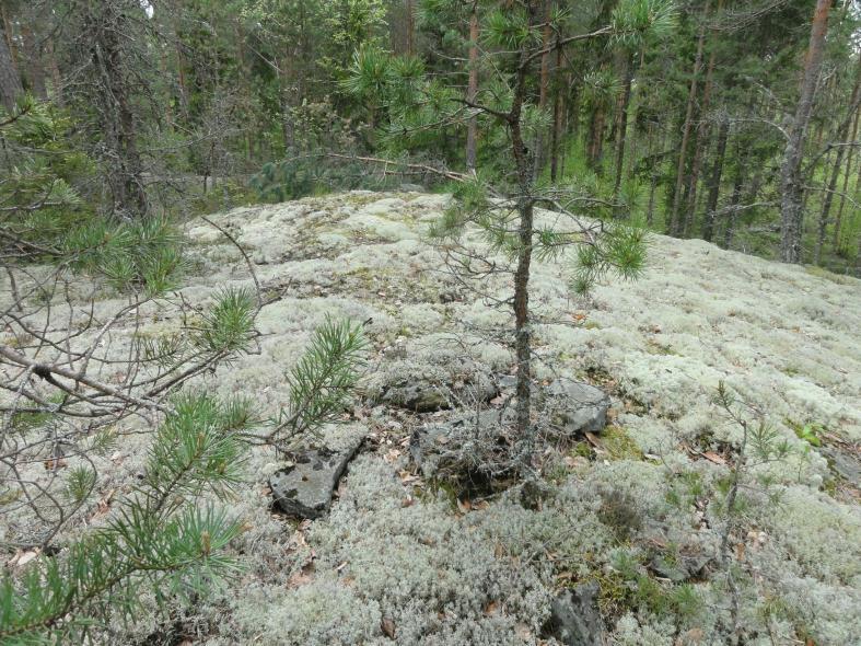 Se otettiin havaintokohteeksi vertailukohdaksi edellisille, käytöstä poistetuiksi rajamerkeiksi tulkituille kohteille.