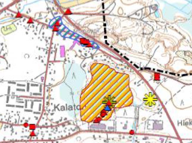 - 7 - Kuva Lehtoasvillisuutta Kalattoman lasuojan varsilla. Kalattoman aaoisulmaan sijoittuu pieni luhtainen rantasuo. Suon ruohovaltaisessa asvillisuudessa esiintyy mm.