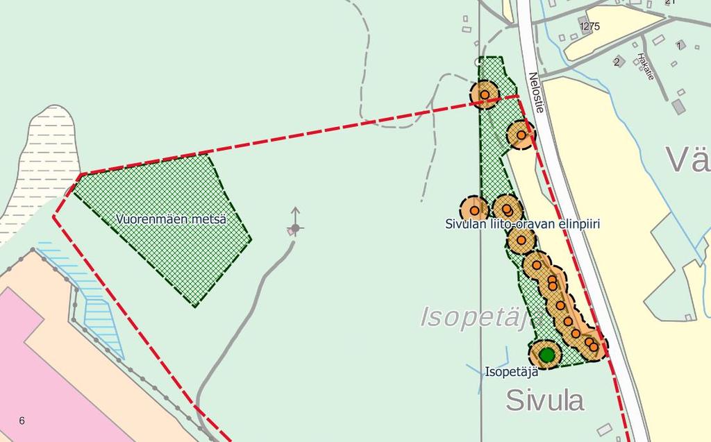 Sivulan noron loppupäätä lähellä pelon reunaa. Kuva 10. Arvokohteet.