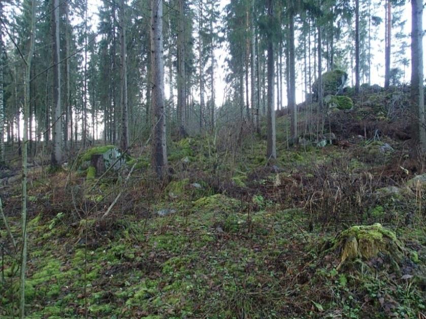 17 Kuvia Louhikkoista metsämaastoa linjauksella valtatie 3