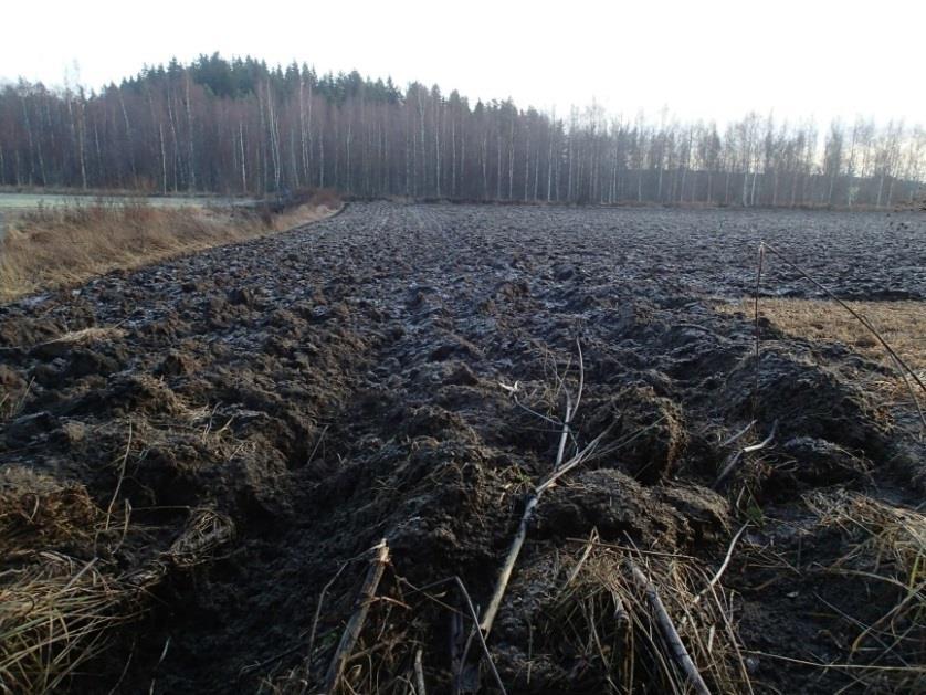 Avointa peltomaastoa linjauksella valtatie 3 koillispuolella