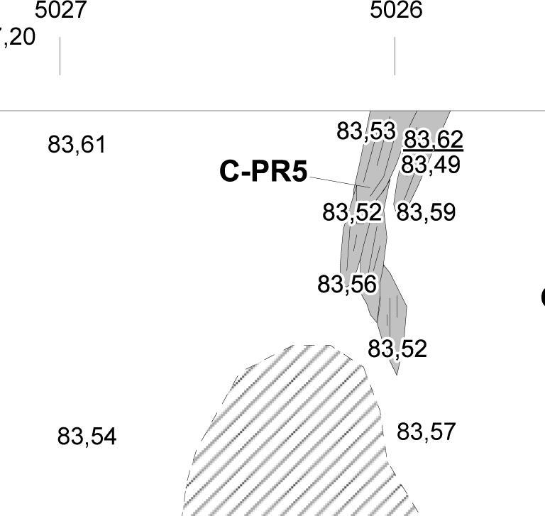 6.8. Puujäännös C-PR5 tasossa VI ks. kartta 6 Puujäännös C-PR5 oli jo vuonna 2013 dokumentoitu nurkkamainen puurakenne, joka jakaantui useisiin alayksiköihin.