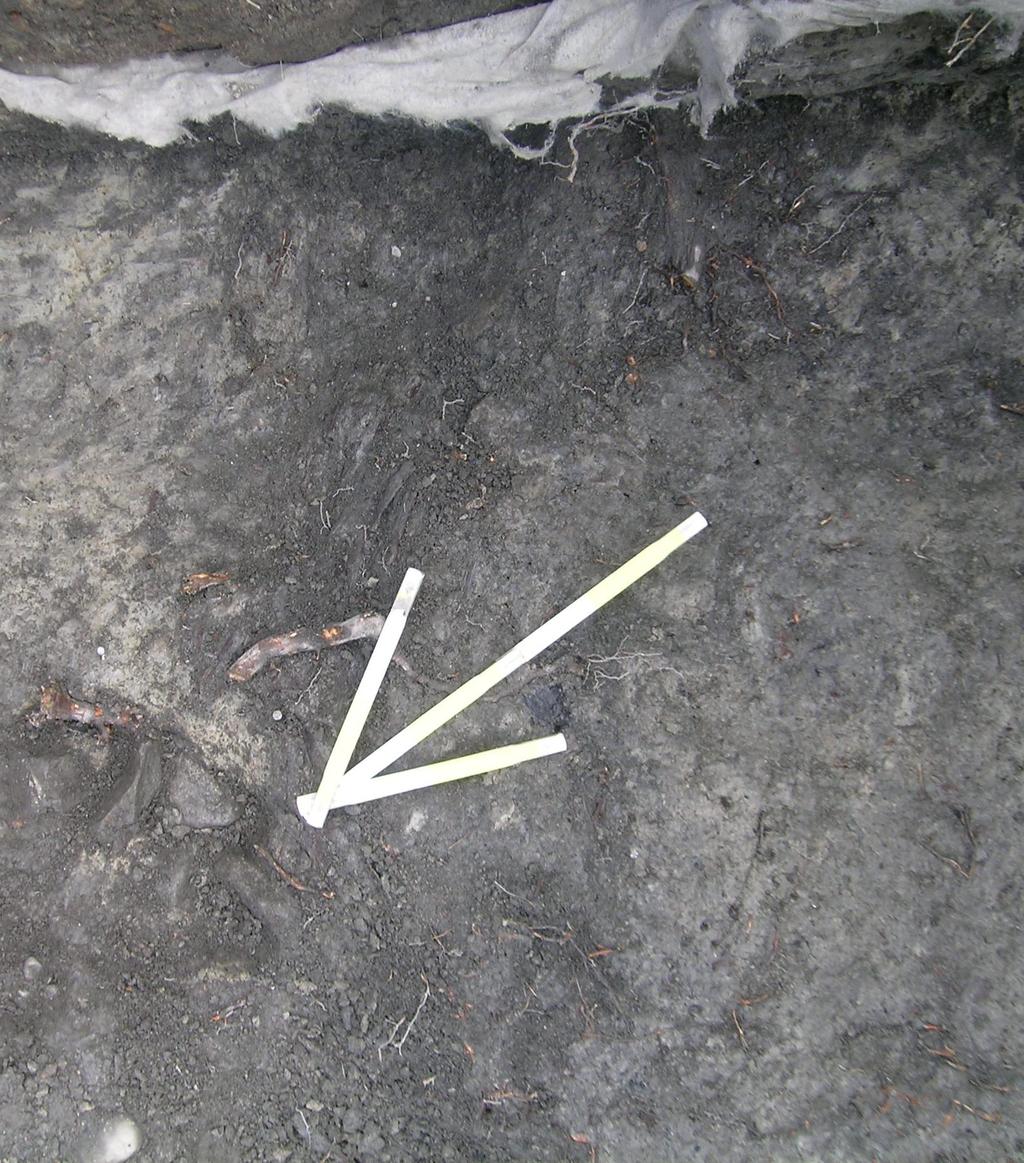 40 cm pitkän pohjoisnuolen yläpuolella puujäännös C-PR5 pohjasaven päällä (taso VI). Pohjoisnuolen kärjen edessä valaisintolpan asennuksessa sekoittunut alue. KYY 168: 22. 6.9.