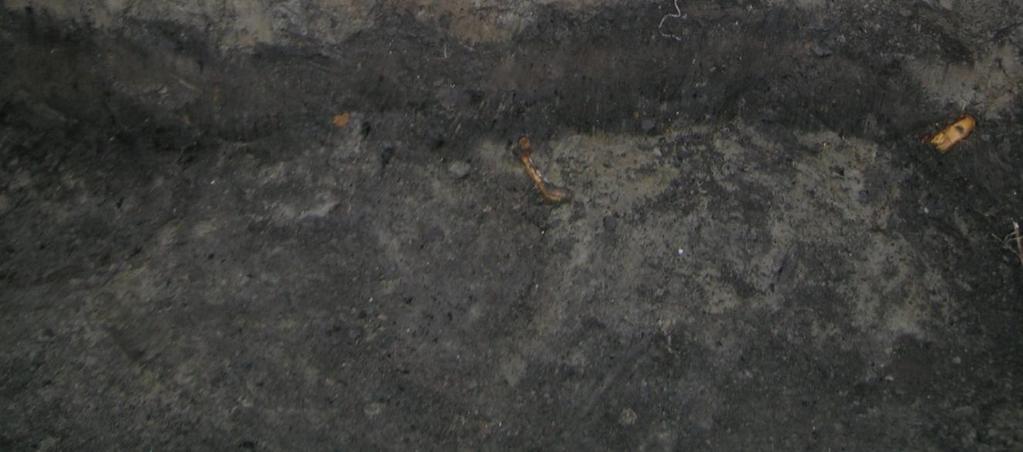 Oranssi huomionauha osoittaa korkeustasoa 83,80 m mpy (N2000). 1 = C-Y1; 2 = C-KR1; 3 = C-Y5; 4 = C-Y8; 5 = C-Y13.