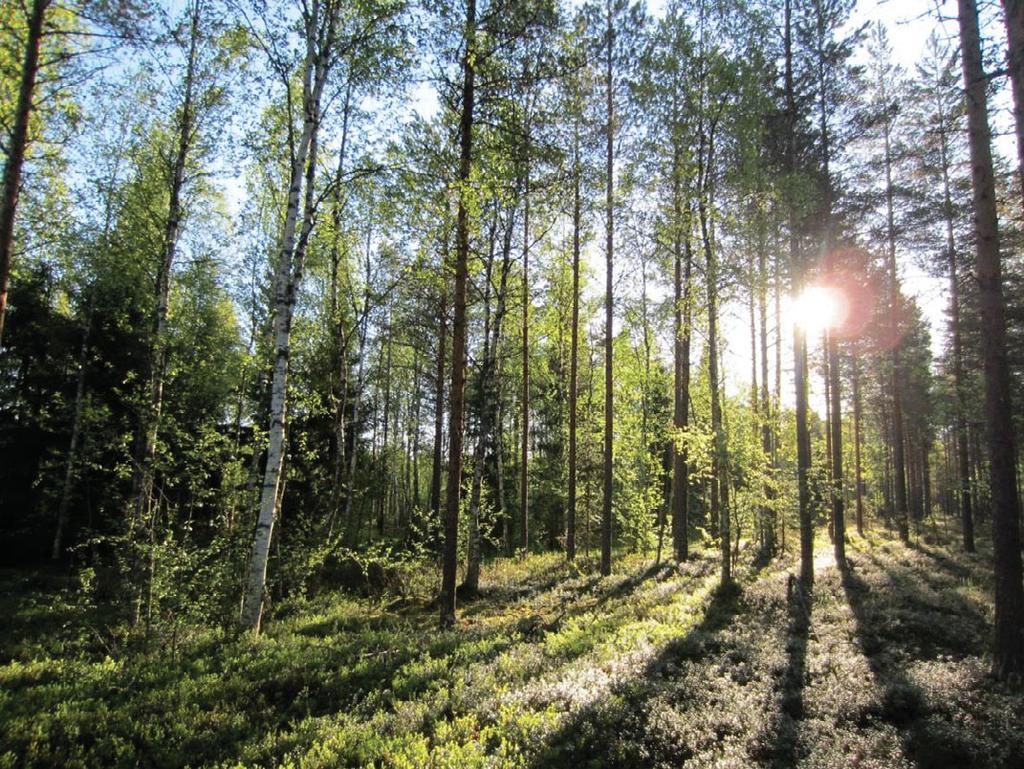 Vastaanottaja Suomen Hyötytuuli Asiakirjatyyppi Luontoselvitys Päivämäärä 21.