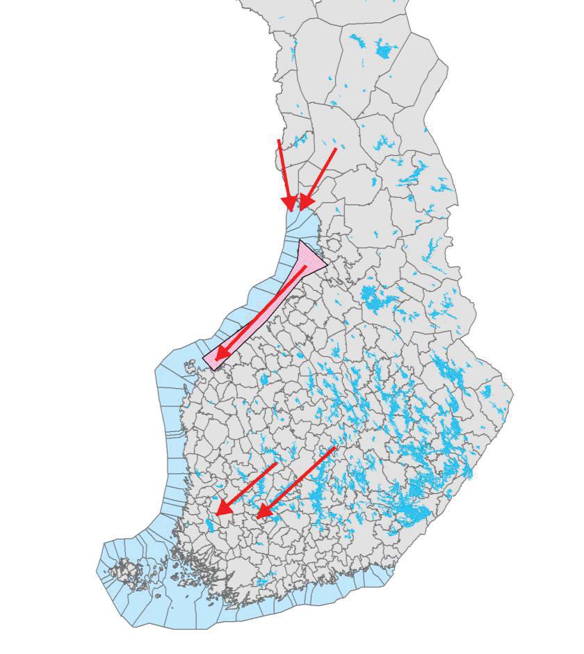 6 Kuva 3-1. Laulujoutsenen valtakunnallinen päämuuttoreitti (vaaleanpunainen aluerajaus) ja päämuuttosuunnat (nuolet) syksyllä Toivasen ym. (2014) mukaan.