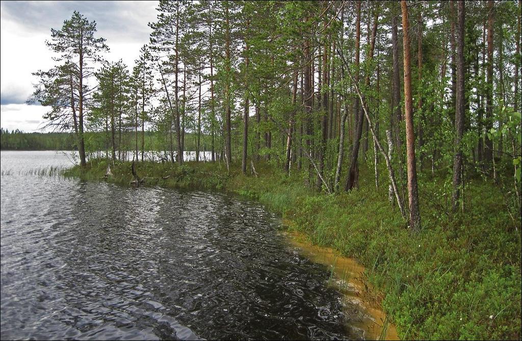 1 UPM OYJ AITTOJÄRVEN RANTA-ASEMAKAAVA